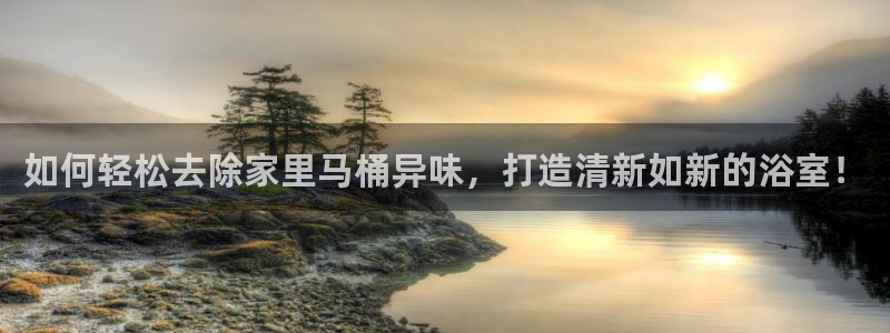 尊龙凯时贴吧：如何轻松去除家里马桶异味，打造清新如新的浴