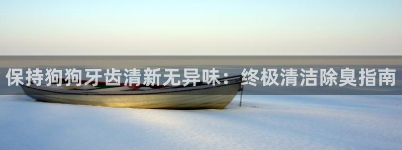 凯时k66会员登录：保持狗狗牙齿清新无异味：终极清洁除臭