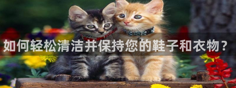 尊龙凯时的生产设备