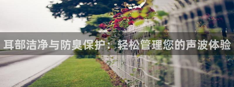 尊龙网页