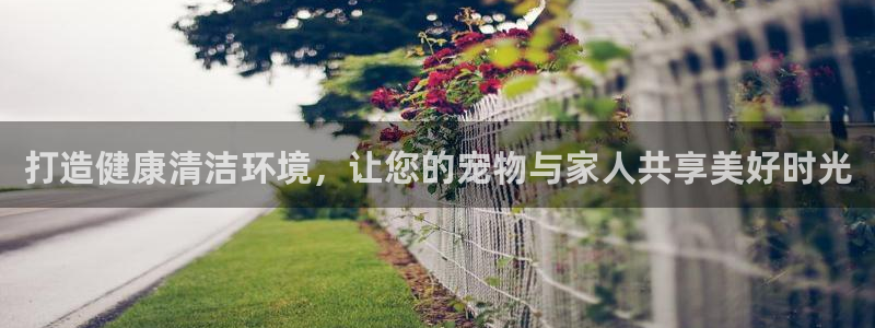 尊龙凯时干什么的