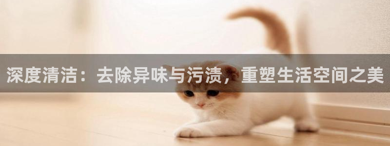 z6com尊龙
