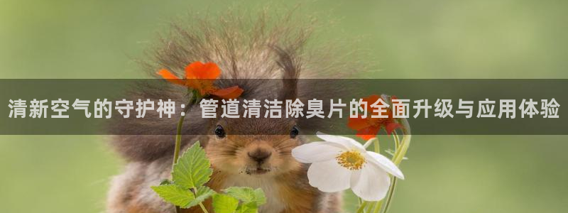 尊龙凯时旗舰厅官网