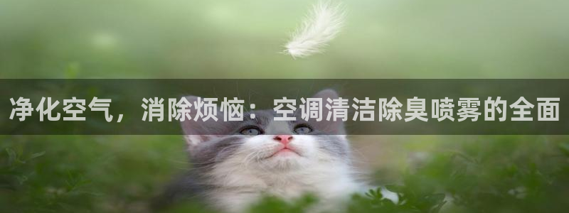 z6尊龙平台是哪里的