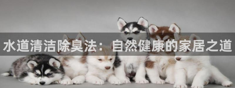 尊龙贴吧