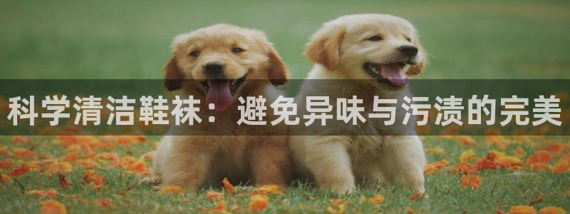 尊龙凯时人生就是搏首页