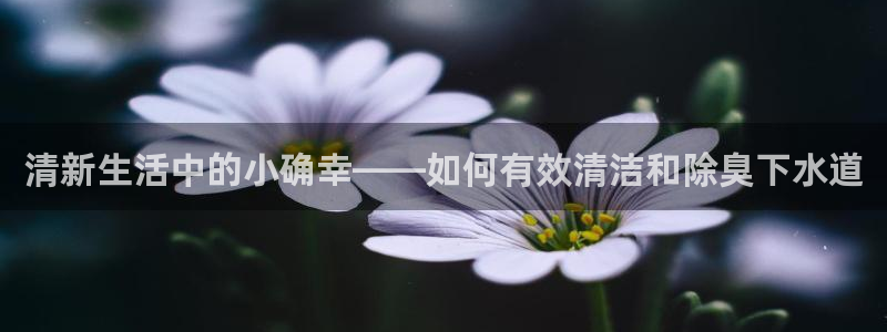 尊龙d88ag官方网站