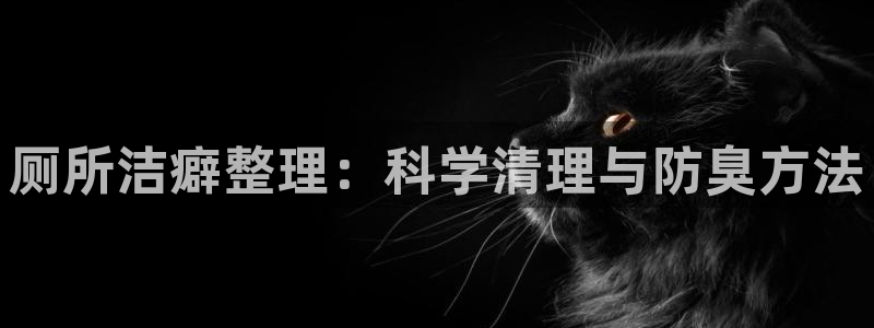 尊龙凯时发展历程