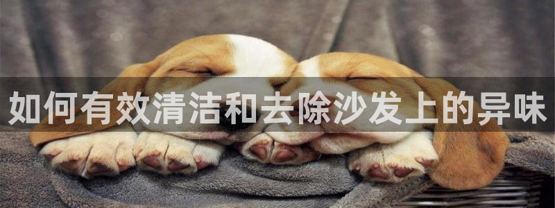 尊龙网址是多少