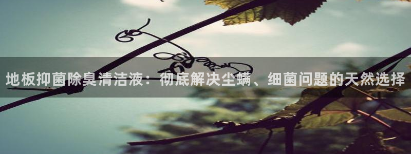 尊龙D88现金旧版