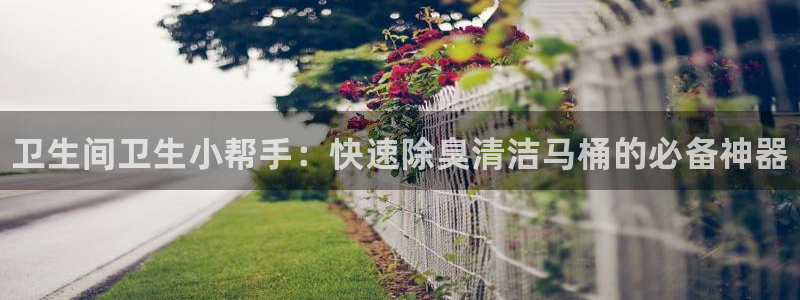 尊龙app|首选agdaohang：卫生间卫生小帮手：快