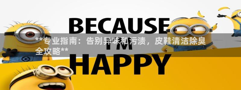 尊龙现金推荐ag发财网：**专业指南：告别异味和污渍，皮